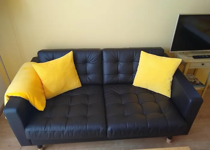 Duinen Paradijs 잔드보르트