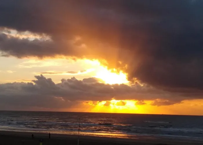 Duinen Paradijs 아파트 잔드보르트