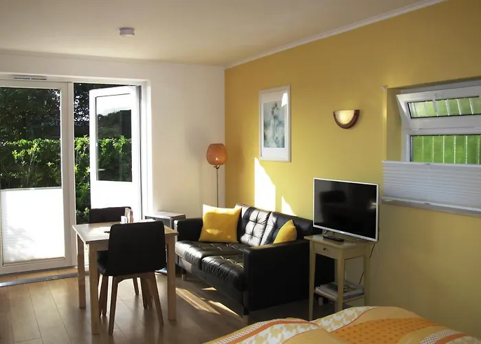 Duinen Paradijs * 잔드보르트