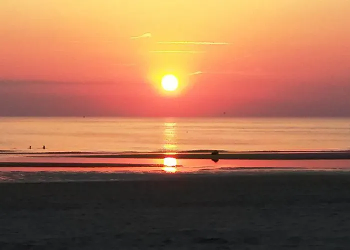 Duinen Paradijs 아파트 잔드보르트