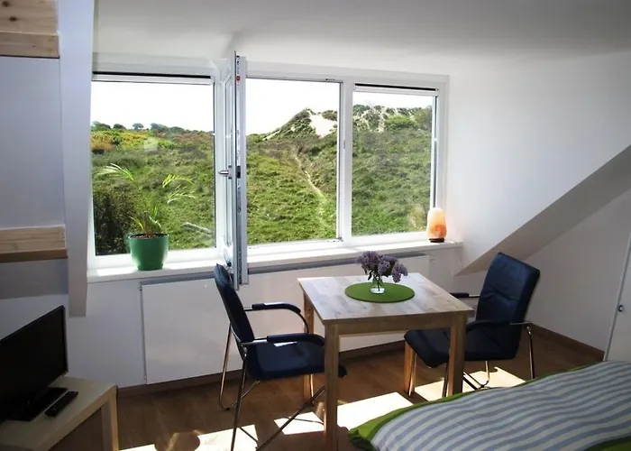 Duinen Paradijs 잔드보르트