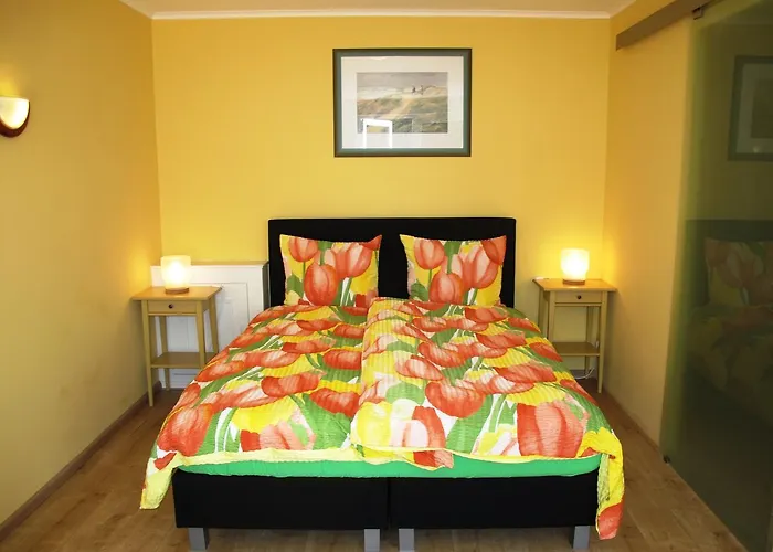 Duinen Paradijs * 잔드보르트