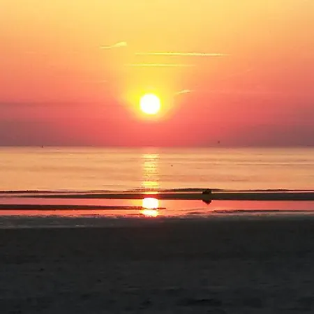 Duinen Paradijs شقة زاندفورت